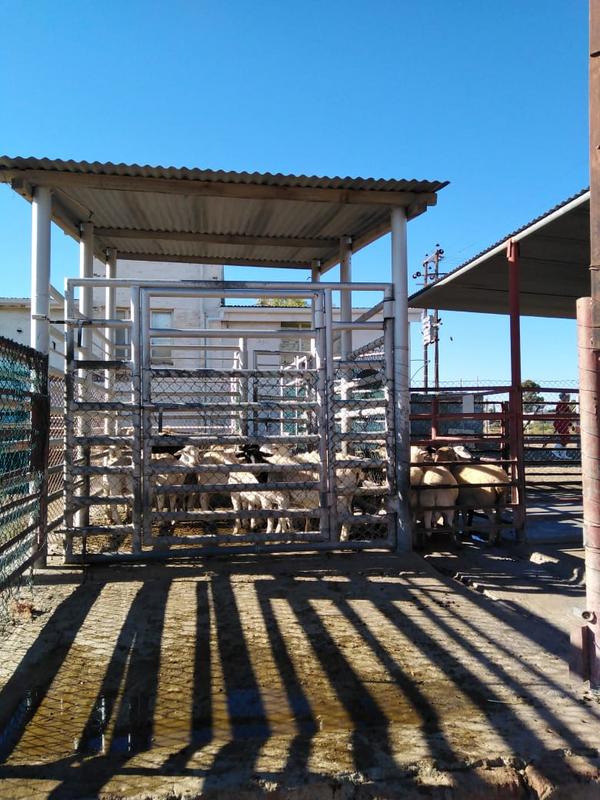 Commercial Property for Sale in Fraserburg Northern Cape